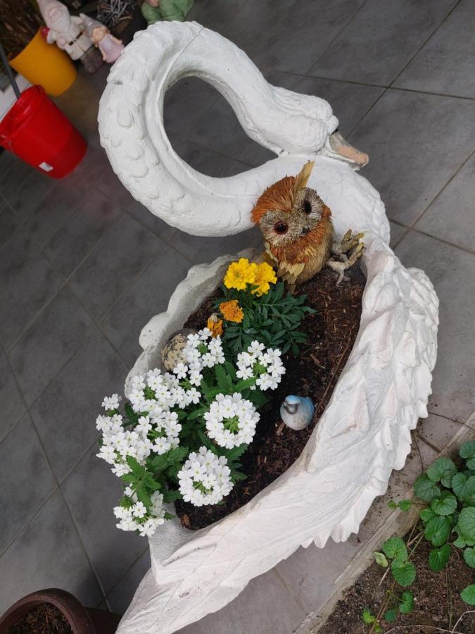 זאגרב Queen House Apartman מראה חיצוני תמונה